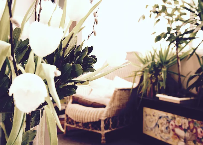 L'hotel Particulier Maison d'hôtes 4*